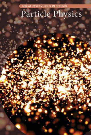 Boek Particle Physics Kate Shoup