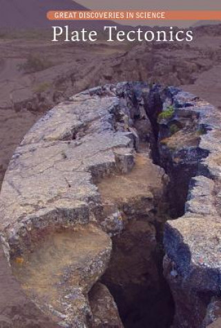 Kniha Plate Tectonics Fiona Young-Brown