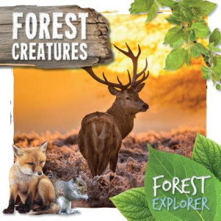 Knjiga Forest Creatures Robin Twiddy
