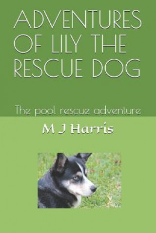 Könyv Adventures of Lily the Rescue Dog: The pool rescue adventure Mae Josephine Harris