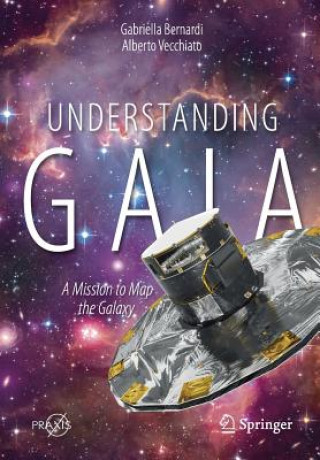 Könyv Understanding Gaia Gabriella Bernardi
