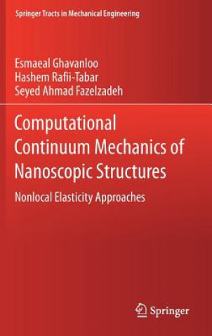 Boek Computational Continuum Mechanics of Nanoscopic Structures Esmaeal Ghavanloo