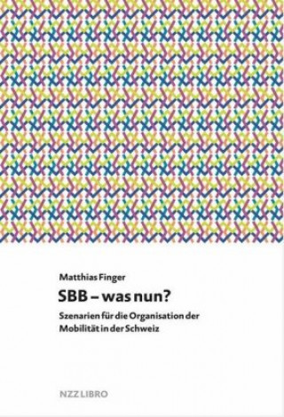 Kniha SBB - was nun? Matthias Finger