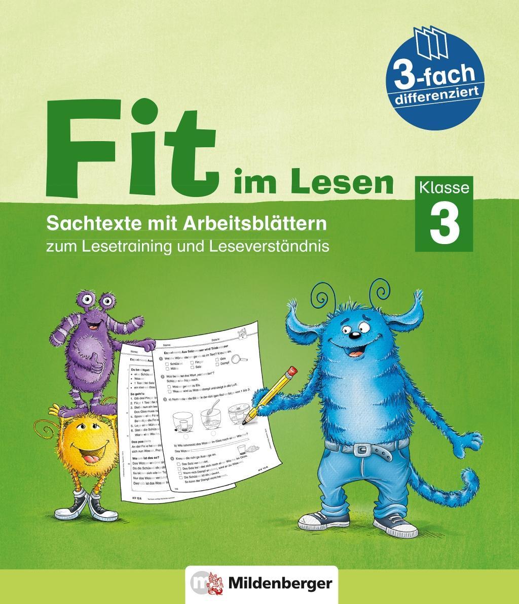 Kniha Fit im Lesen - Sachtexte, Klasse 3 Sabine Stehr