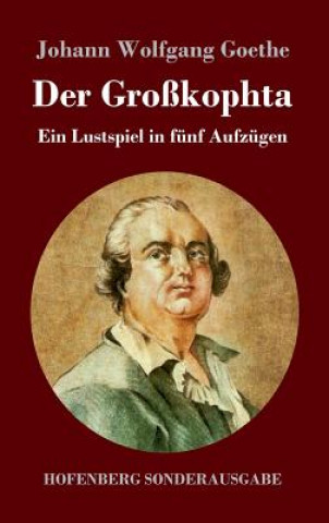 Buch Der Grosskophta Johann Wolfgang Goethe