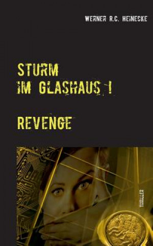 Könyv Sturm im Glashaus Werner R C Heinecke