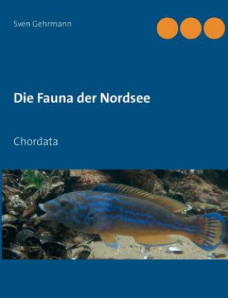 Kniha Fauna der Nordsee Sven Gehrmann