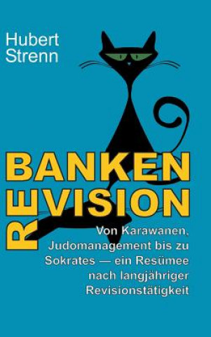 Kniha Banken-Revision Hubert Strenn