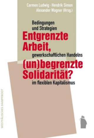 Knjiga Entgrenzte Arbeit, (un-)begrenzte Solidarität? Carmen Ludwig