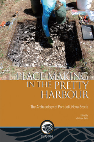 Книга Place-Making in the Pretty Harbour Matthew Betts