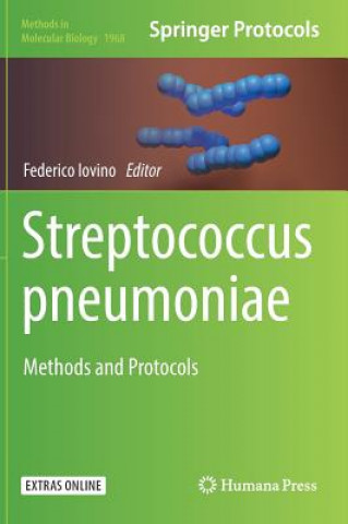 Könyv Streptococcus pneumoniae Federico Iovino