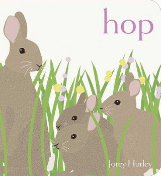 Könyv Hop Jorey Hurley