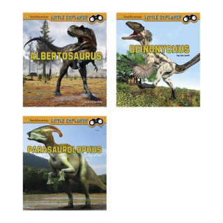 Kniha Little Paleontologist Joe Levit