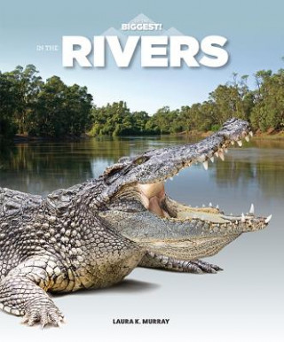 Книга In the Rivers Laura K. Murray