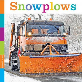 Buch Snowplows Quinn M. Arnold