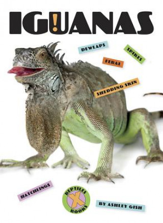 Knjiga Iguanas Ashley Gish