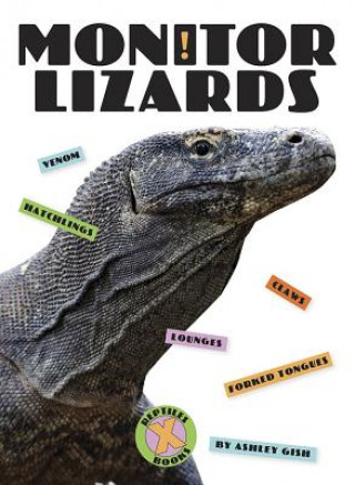 Kniha Monitor Lizards Ashley Gish