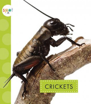 Libro Crickets Nessa Black