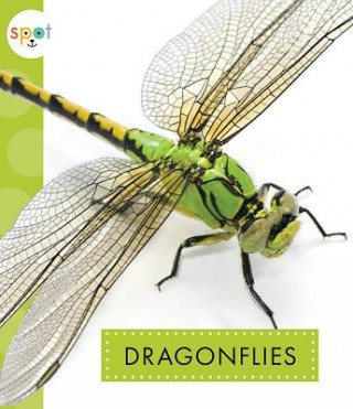 Kniha Dragonflies Nessa Black