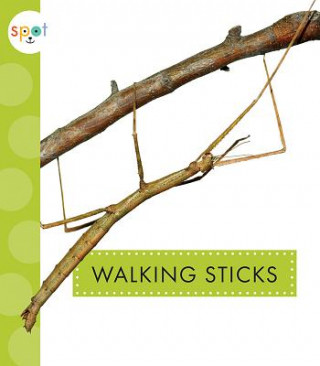 Kniha Walking Sticks Nessa Black