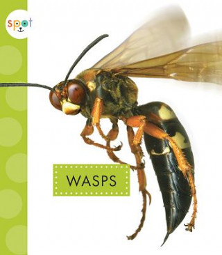 Kniha Wasps Nessa Black