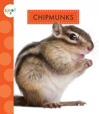 Książka Chipmunks Mari C. Schuh