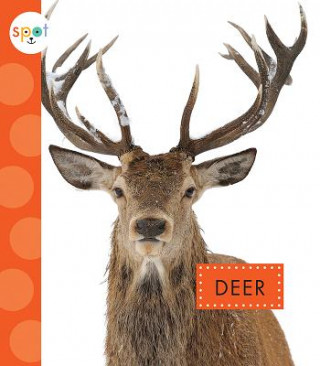 Carte Deer Mari C. Schuh