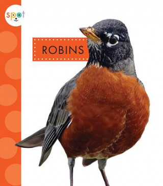 Książka Robins Mari C. Schuh