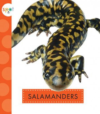 Carte Salamanders Mari C. Schuh