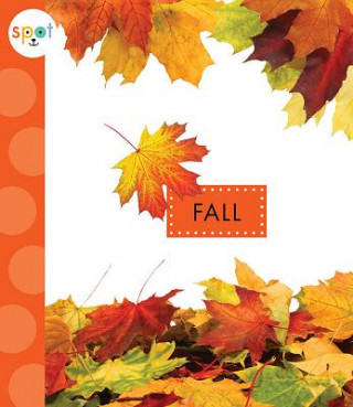Knjiga Fall Mari C. Schuh
