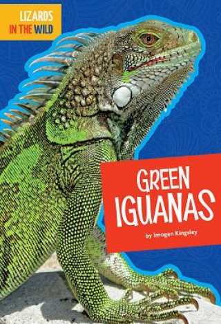 Buch Green Iguanas Imogen Kingsley