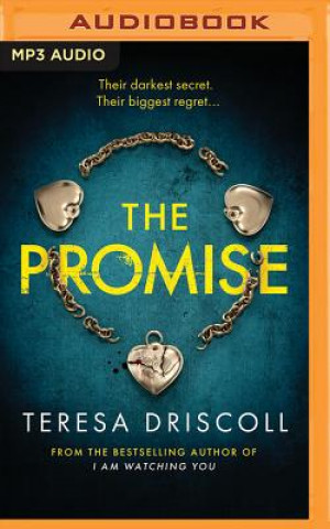 Digital PROMISE THE Teresa Driscoll