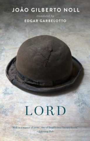 Book Lord Joao Gilberto Noll