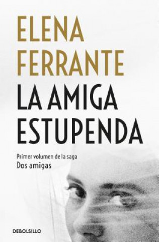 Kniha La Amiga Estupenda / My Brilliant Friend Elena Ferrante