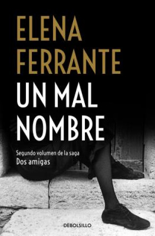 Knjiga Un Mal Nombre / The Story of a New Name Elena Ferrante
