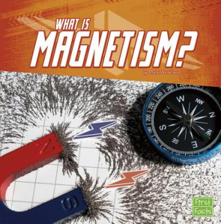 Kniha What Is Magnetism? Mark Andrew Weakland