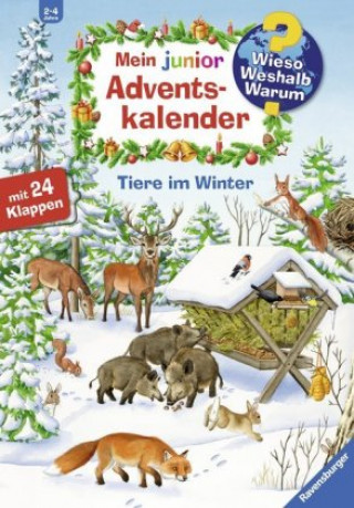 Calendar / Agendă Wieso? Weshalb? Warum? Mein junior Adventskalender Tiere im Winter Esther von Hacht