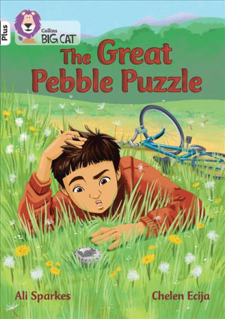 Libro Great Pebble Puzzle Ali Sparkes
