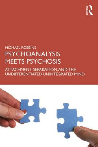 Книга Psychoanalysis Meets Psychosis Robbins