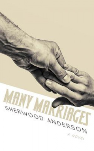 Knjiga Many Marriages Sherwood Anderson