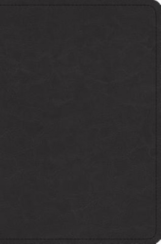Buch ESV Preaching Bible 