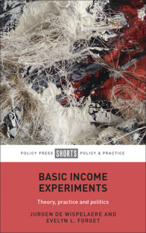 Kniha Basic Income Experiments Jurgen De Wispelaere