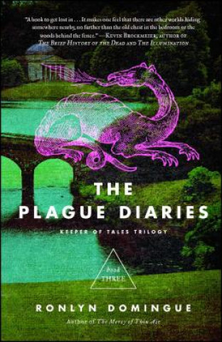Könyv Plague Diaries Ronlyn Domingue