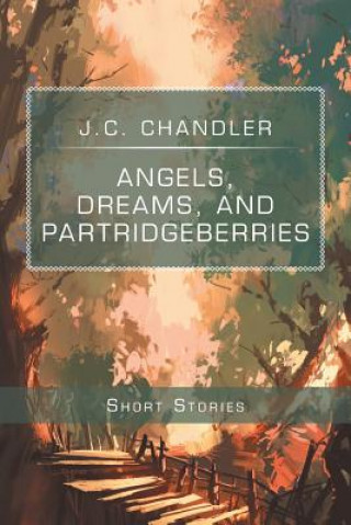 Knjiga Angels, Dreams, and Partridgeberries J C Chandler