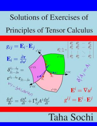 Könyv Solutions of Exercises of Principles of Tensor Calculus Taha Sochi