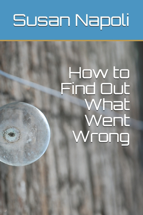 Książka How to Find Out What Went Wrong Susan Devine Napoli