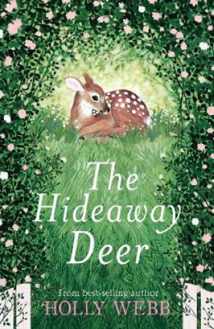 Könyv Hideaway Deer Holly Webb