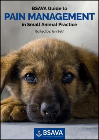 Kniha BSAVA Guide to Pain Management in Small Animal Practice 