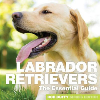 Könyv Labrador Retrievers Robert Duffy