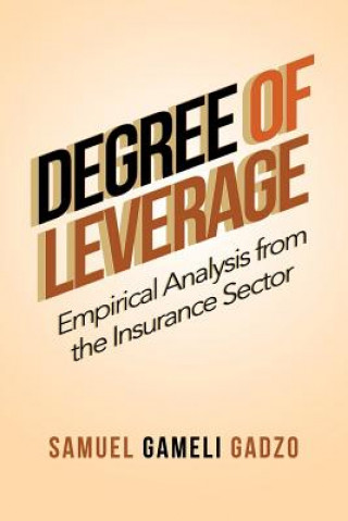 Kniha Degree of Leverage Samuel Gameli Gadzo